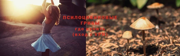 ALPHA PVP Армянск