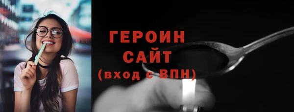прущие грибы Сосновый Бор