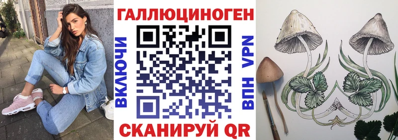 Галлюциногенные грибы GOLDEN TEACHER  Игарка 